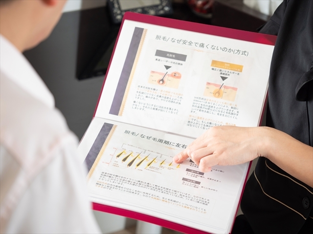 眉毛の毛周期の図